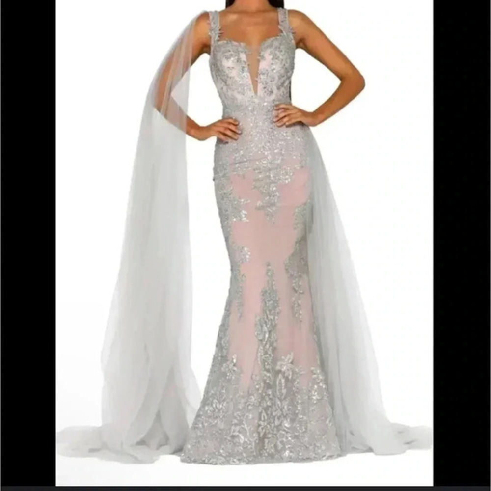 Portia and scarlett silver nude evening gown TULLE REMOVED